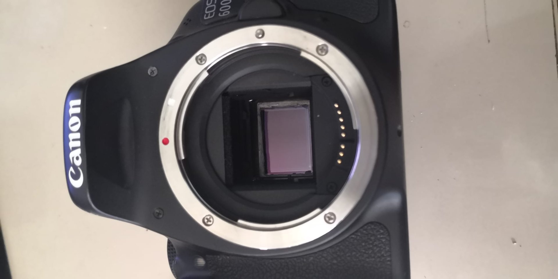 Canon5.jpg
