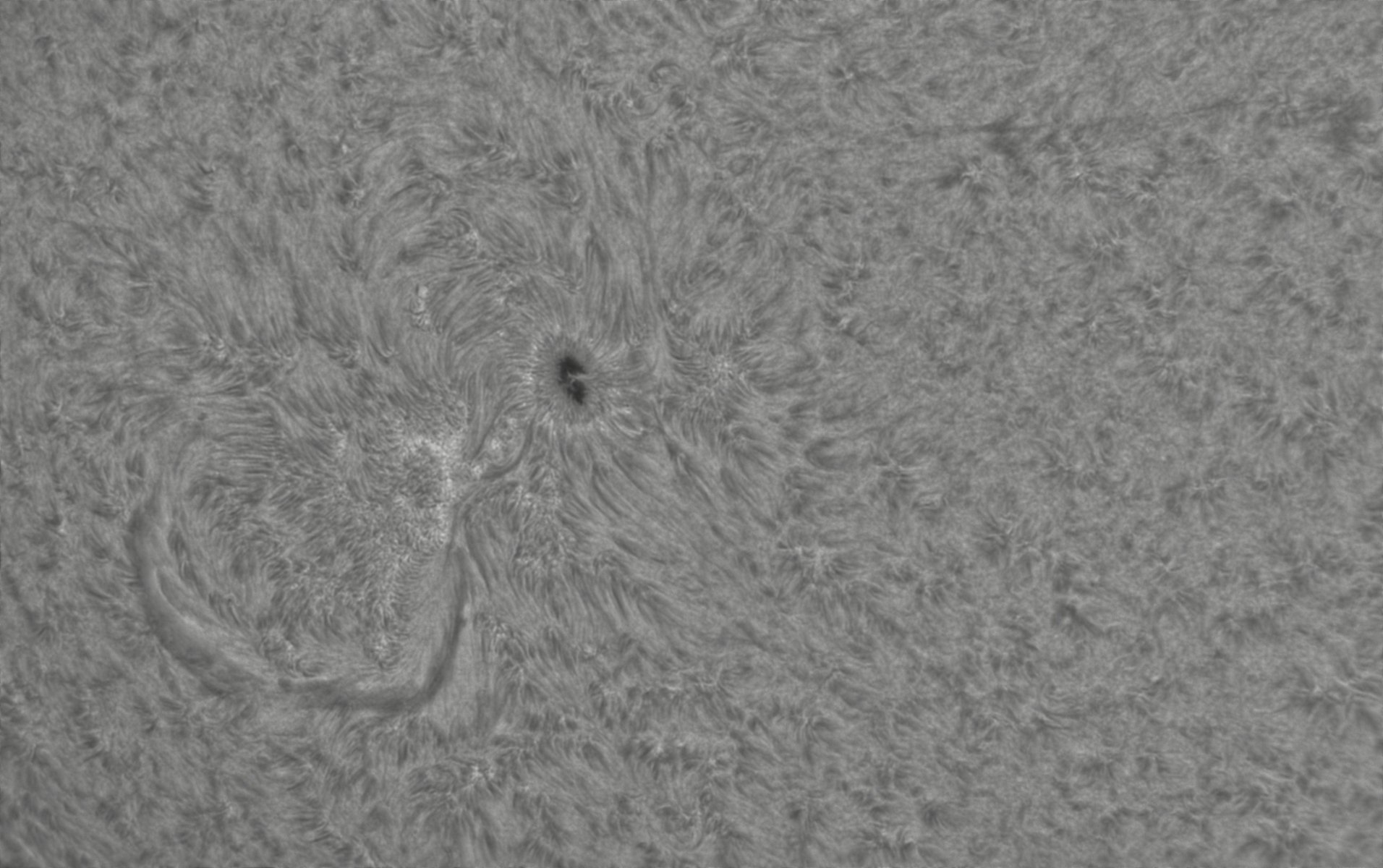 CapObj_084709_lapl3_ap9748.jpg