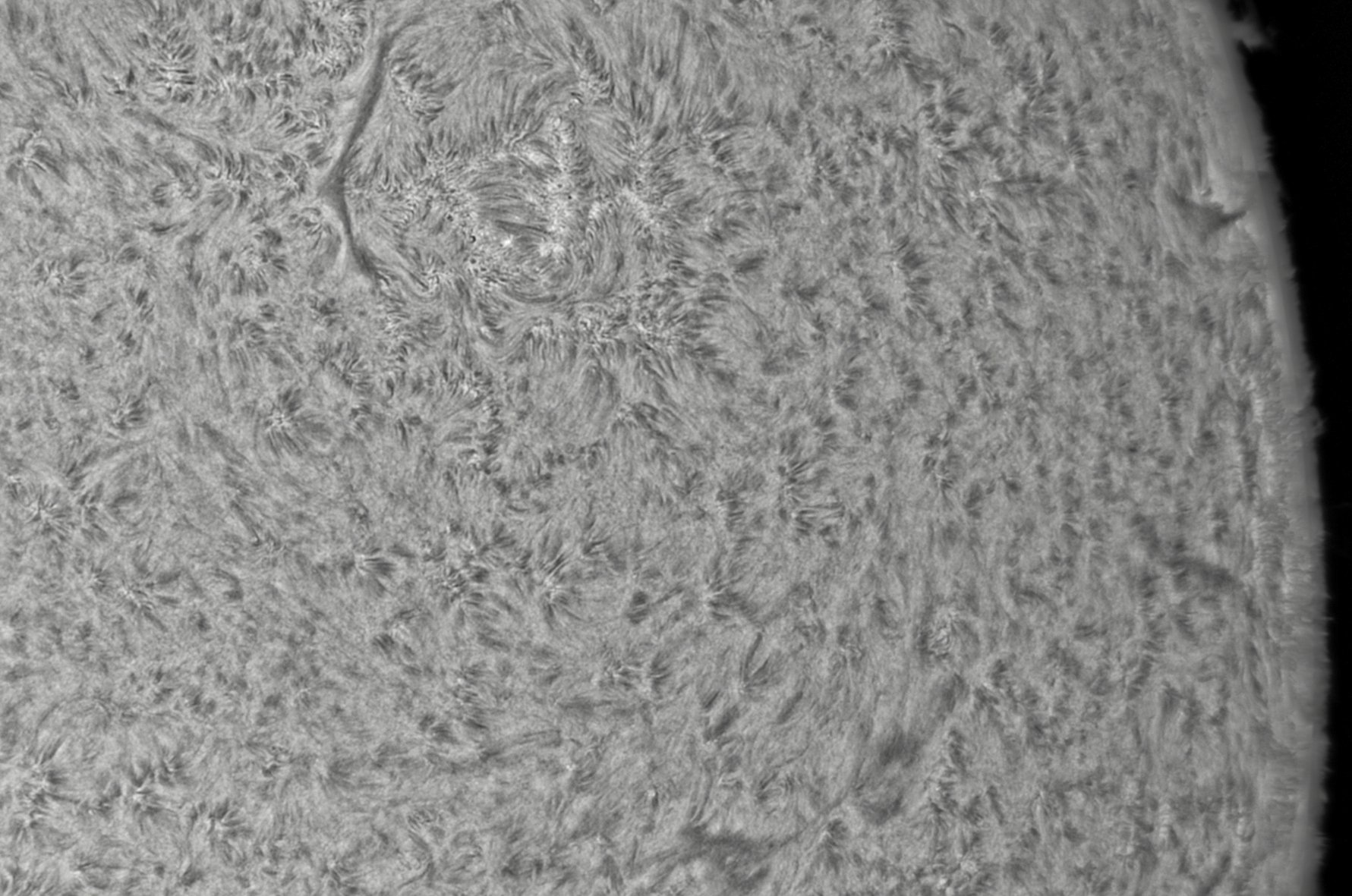 CapObj_085703_lapl2_ap8880.jpg