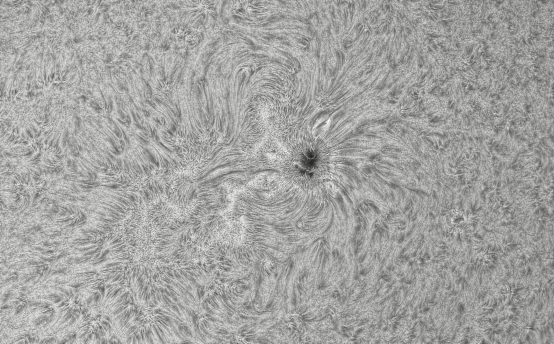 CapObj_090035_lapl2_ap9574.jpg