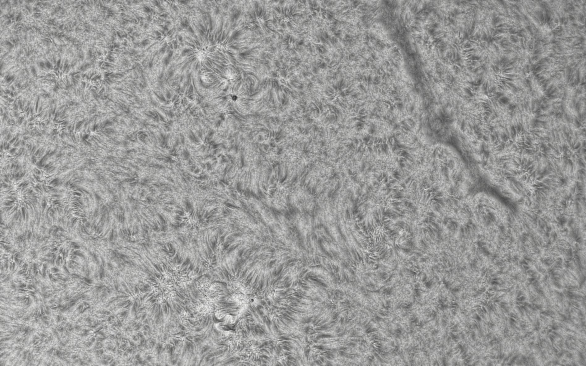 CapObj_090347_lapl2_ap9536.jpg