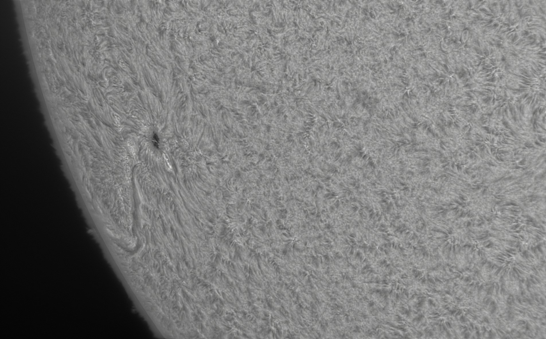 CapObj_091531_lapl3_ap8504.jpg