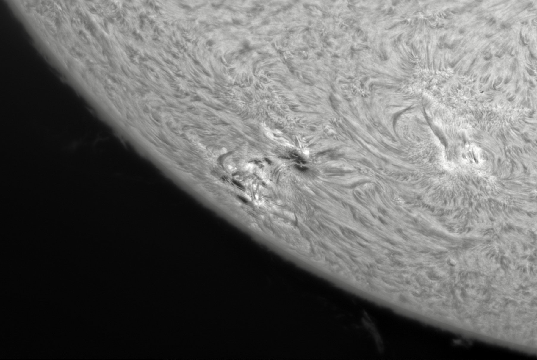 CapObj_093824_lapl2_ap6590.jpg
