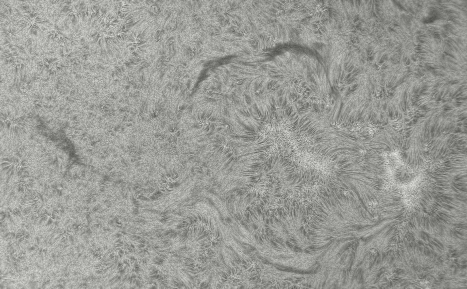 CapObj_101443_lapl3_ap9491.jpg