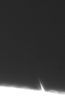 CapObj_101825_lapl3_ap182_out_aligned_1.gif