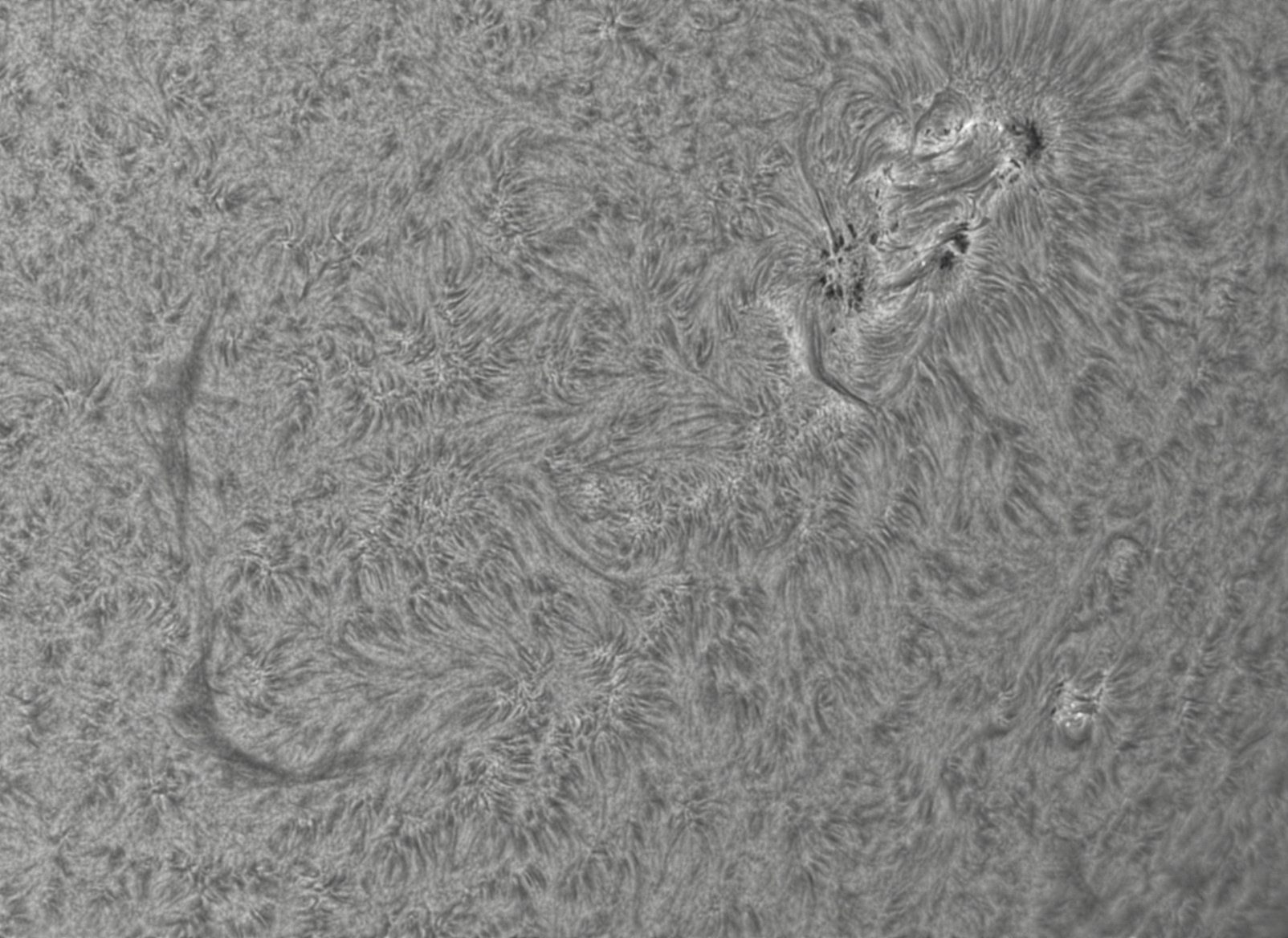 CapObj_105625_lapl2_ap9296.jpg