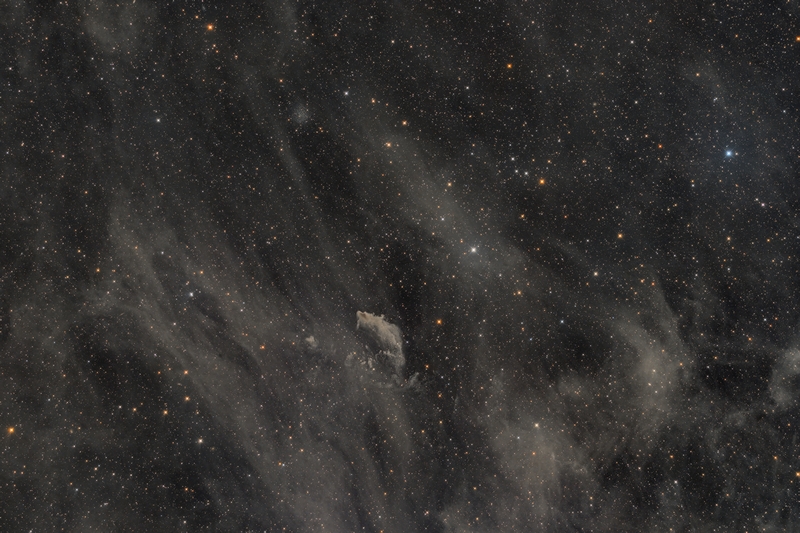 CG11_Epsilon_Rr_medium.jpg