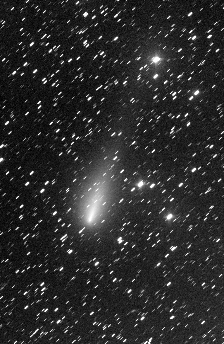 Comet_ATLAS_2019Y4_T21_3x300s_2x2_Luminance.jpg