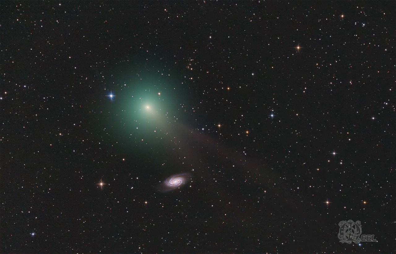 comet_c2018y1_iwamoto_zieht_an_ngc2903_vorbei_2k.jpg