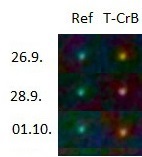 compare.jpg