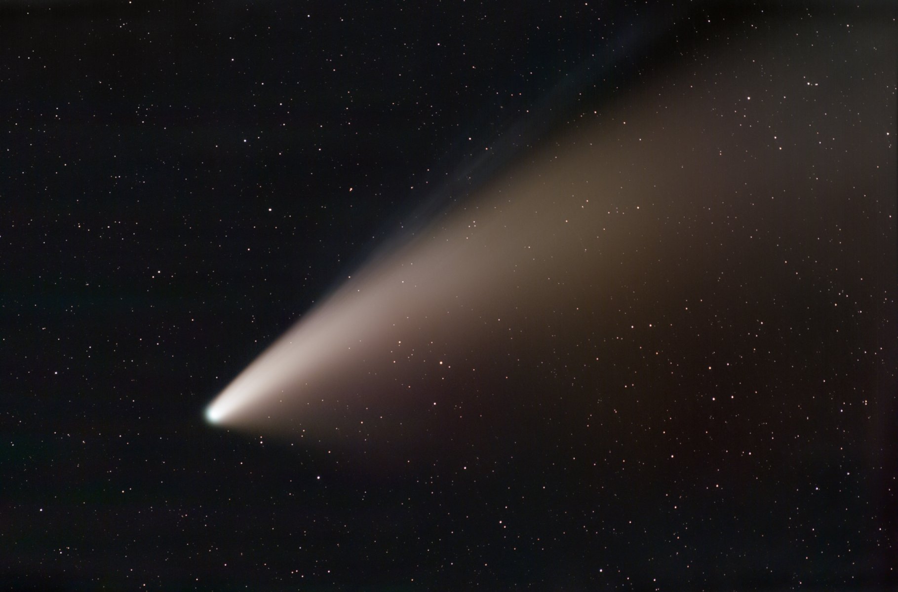 composite_neowise.jpg