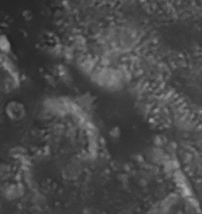 Crop Apollo17 250Proz.jpg