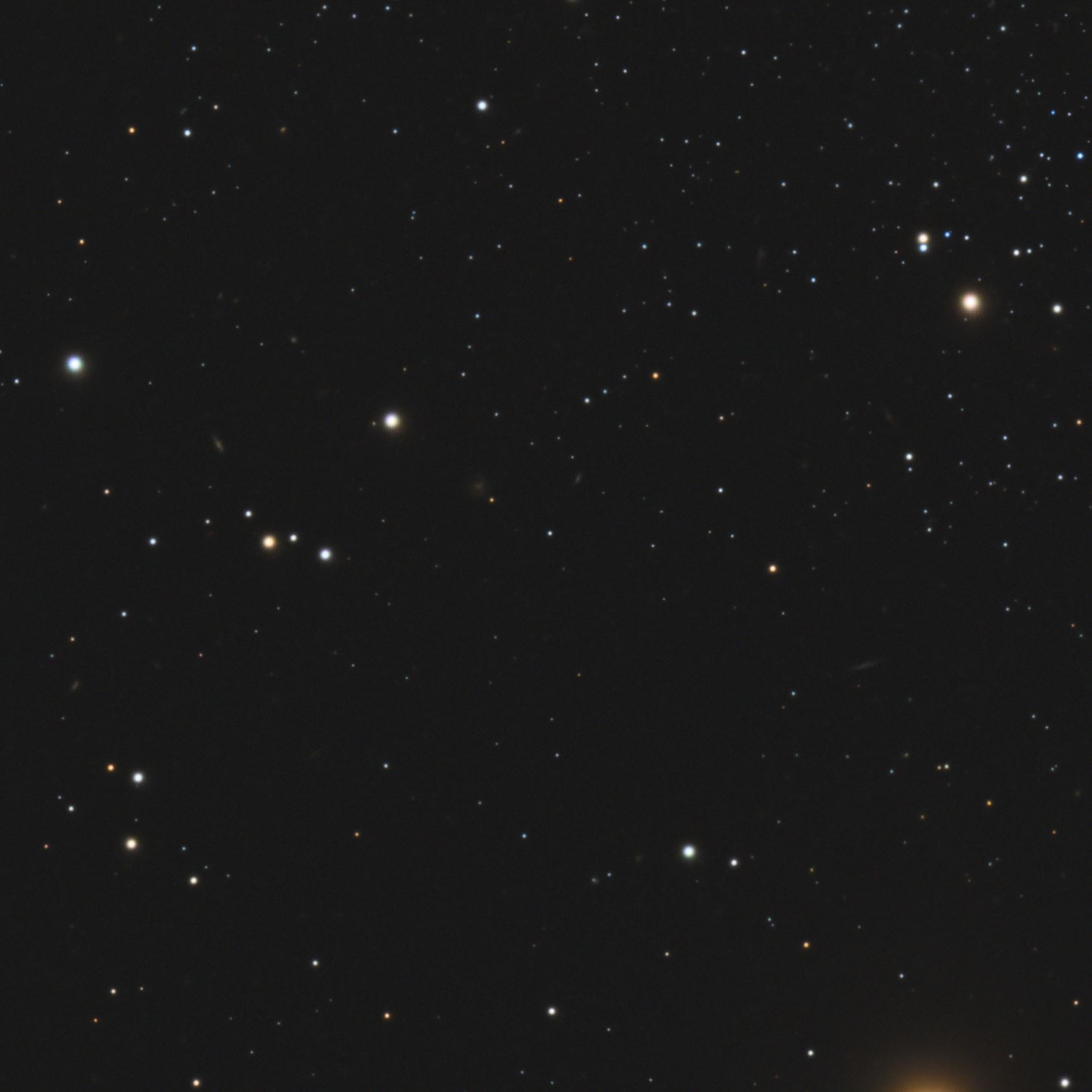 Crop_04.jpg