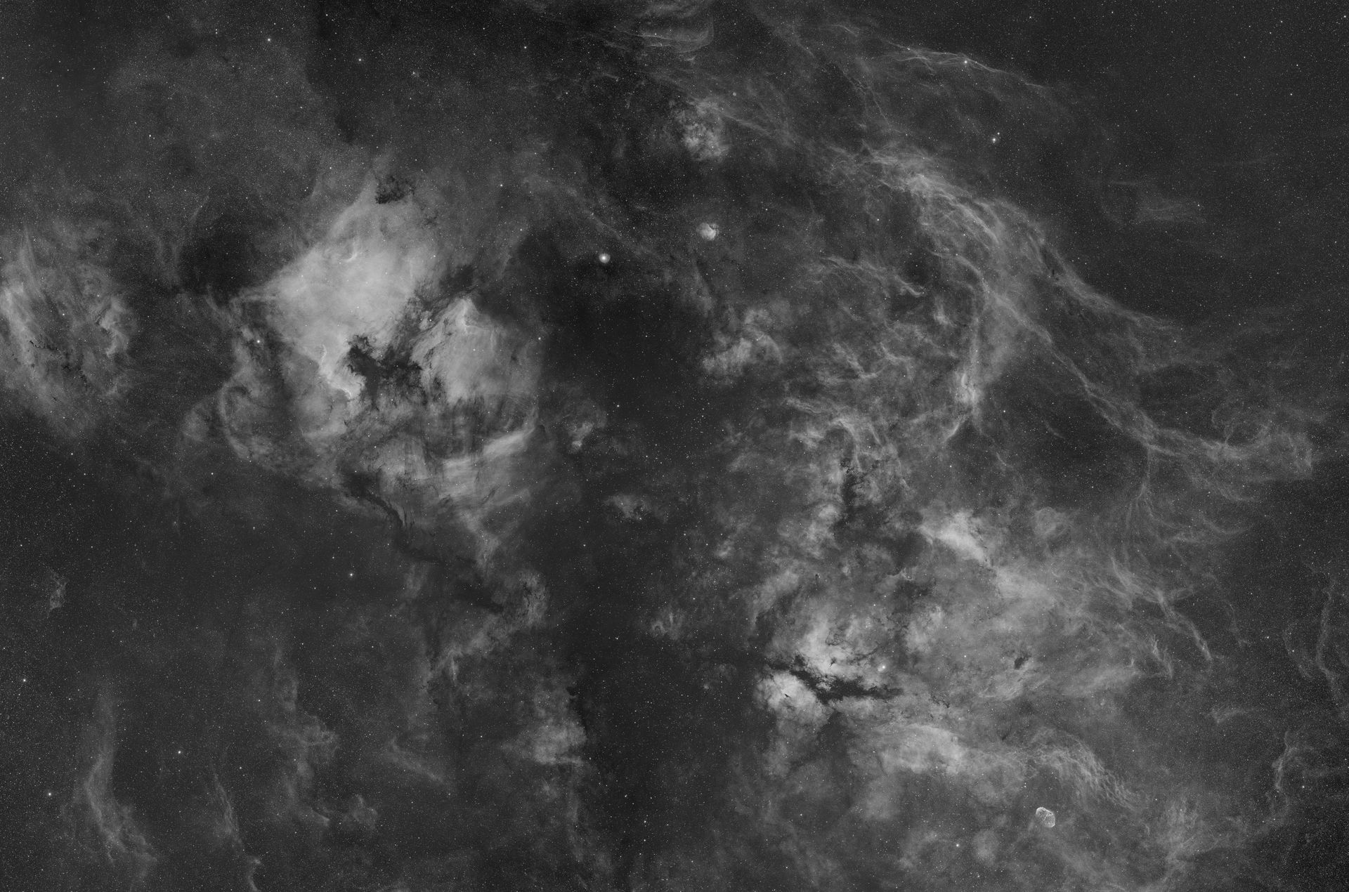 Cygnus-16x Pano-1920px.jpg