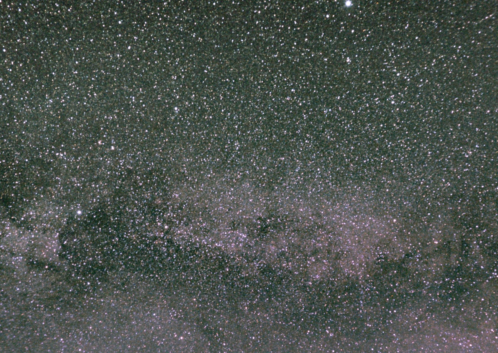 Cygnus klein.jpg