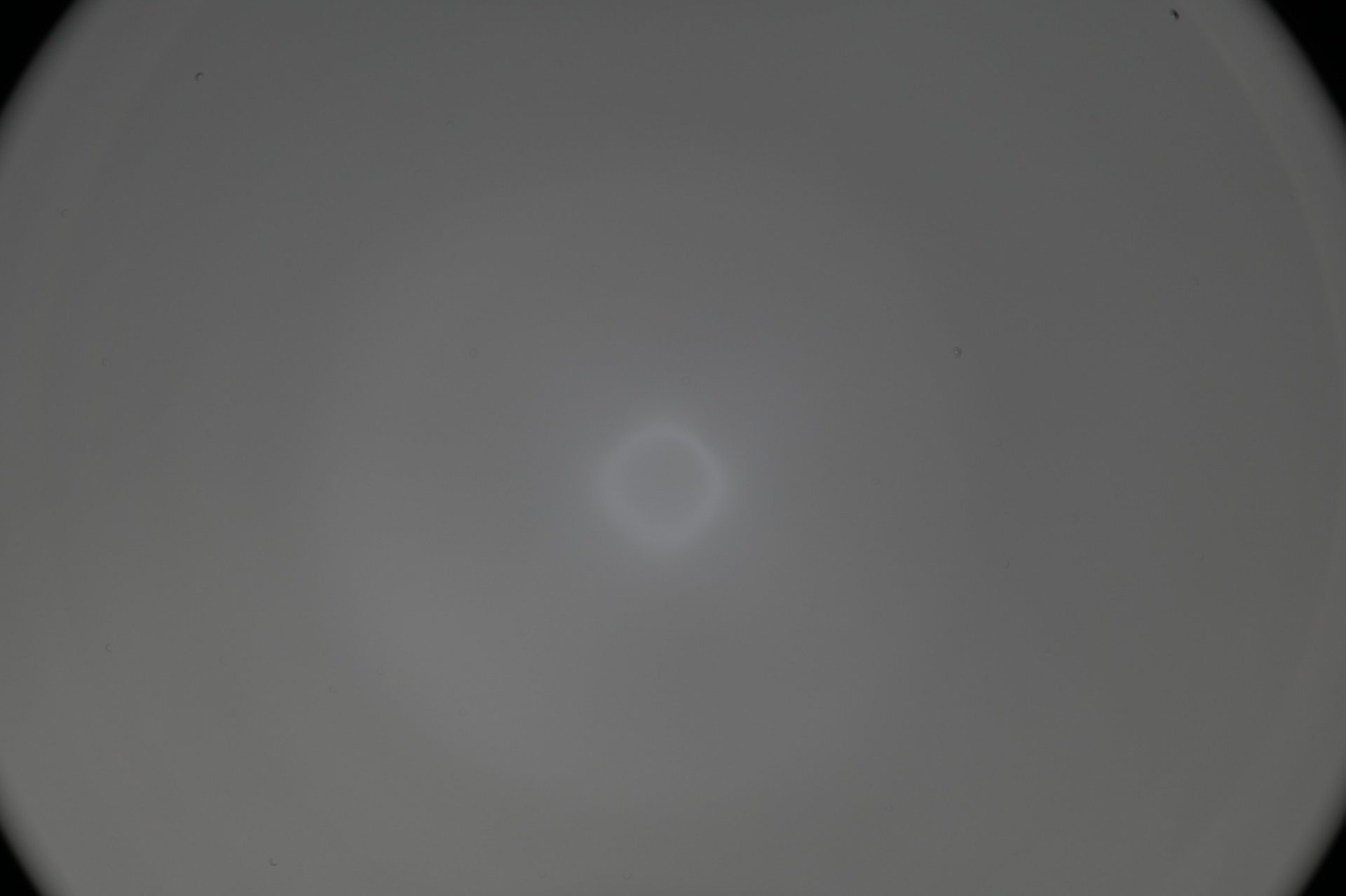 D2B4EAF5-A6CD-468C-8563-21A4568C2B80.jpeg