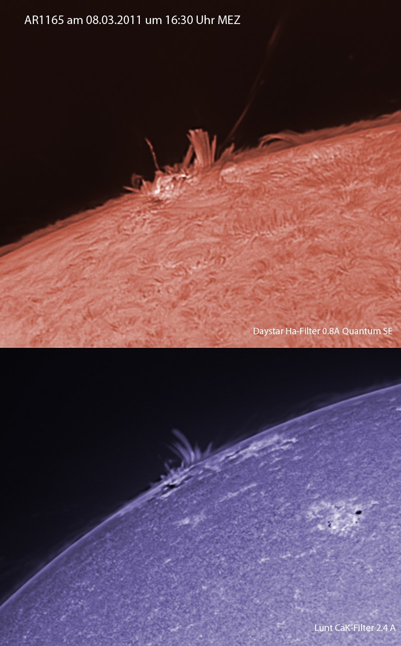D3140C3C-A190-4E23-9D21-39DD6784B75D.jpeg