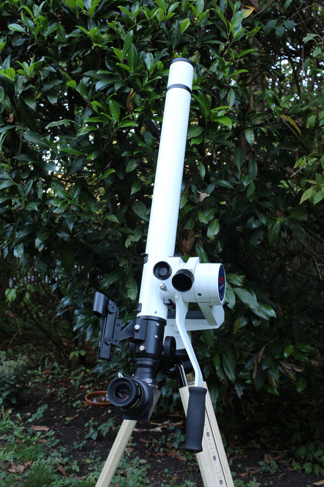 D50L-2.jpg