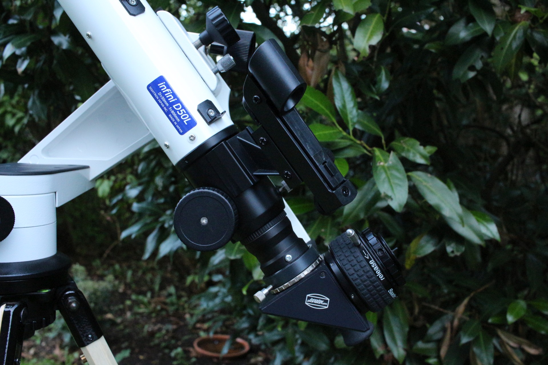 D50L-4.jpg
