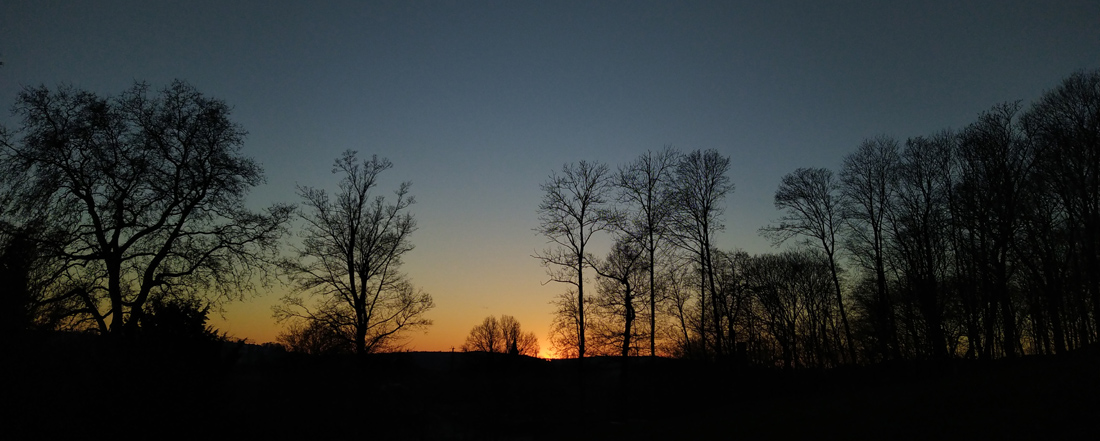 daemmerung_220112.jpg