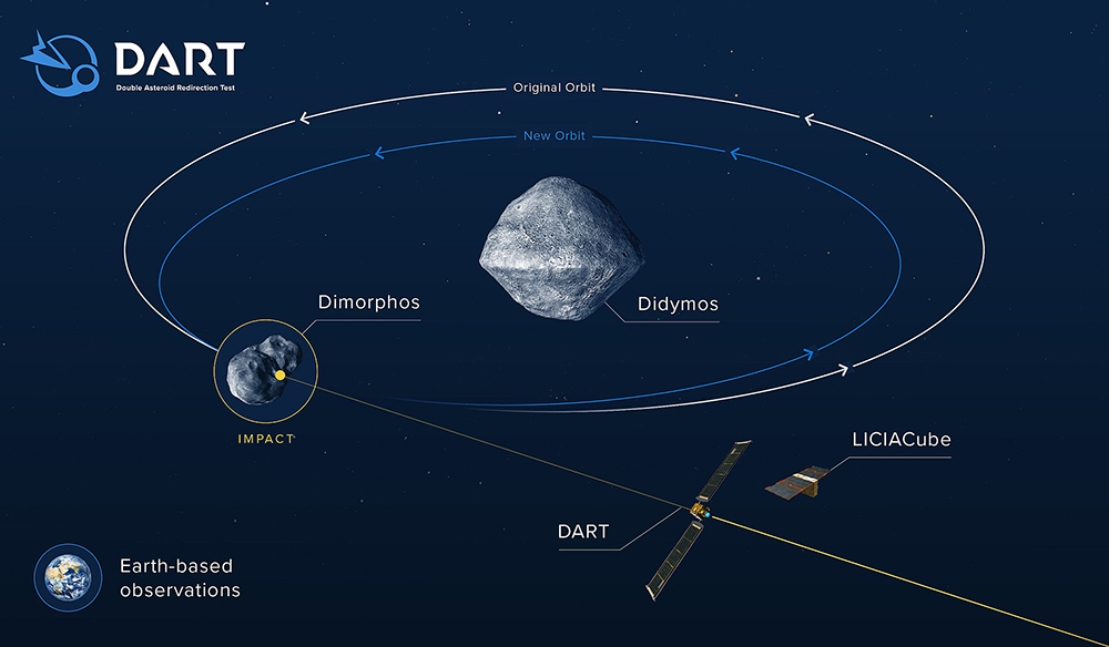 DART-Infographic.jpg