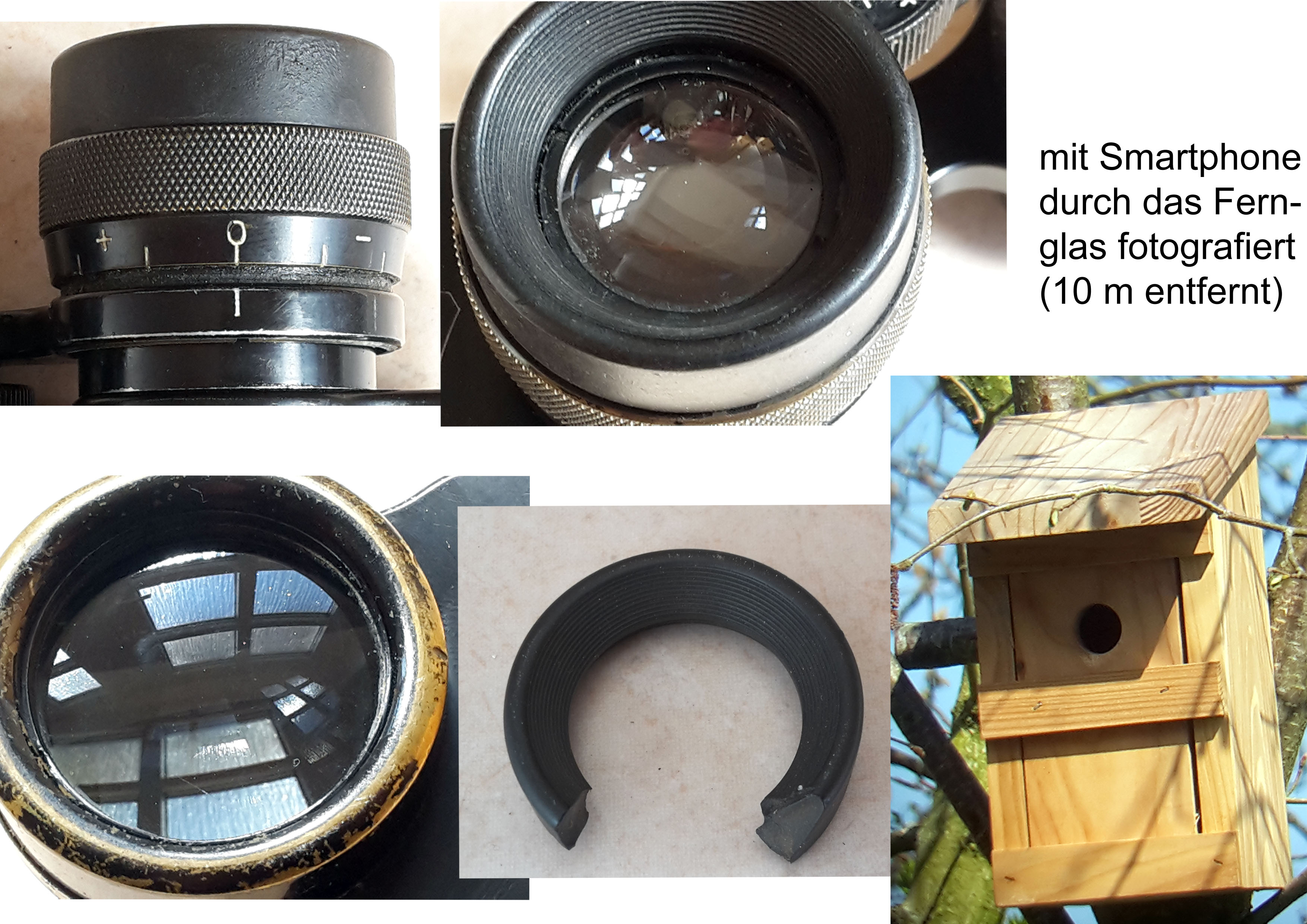 Deltrintem 1040471 b.jpg
