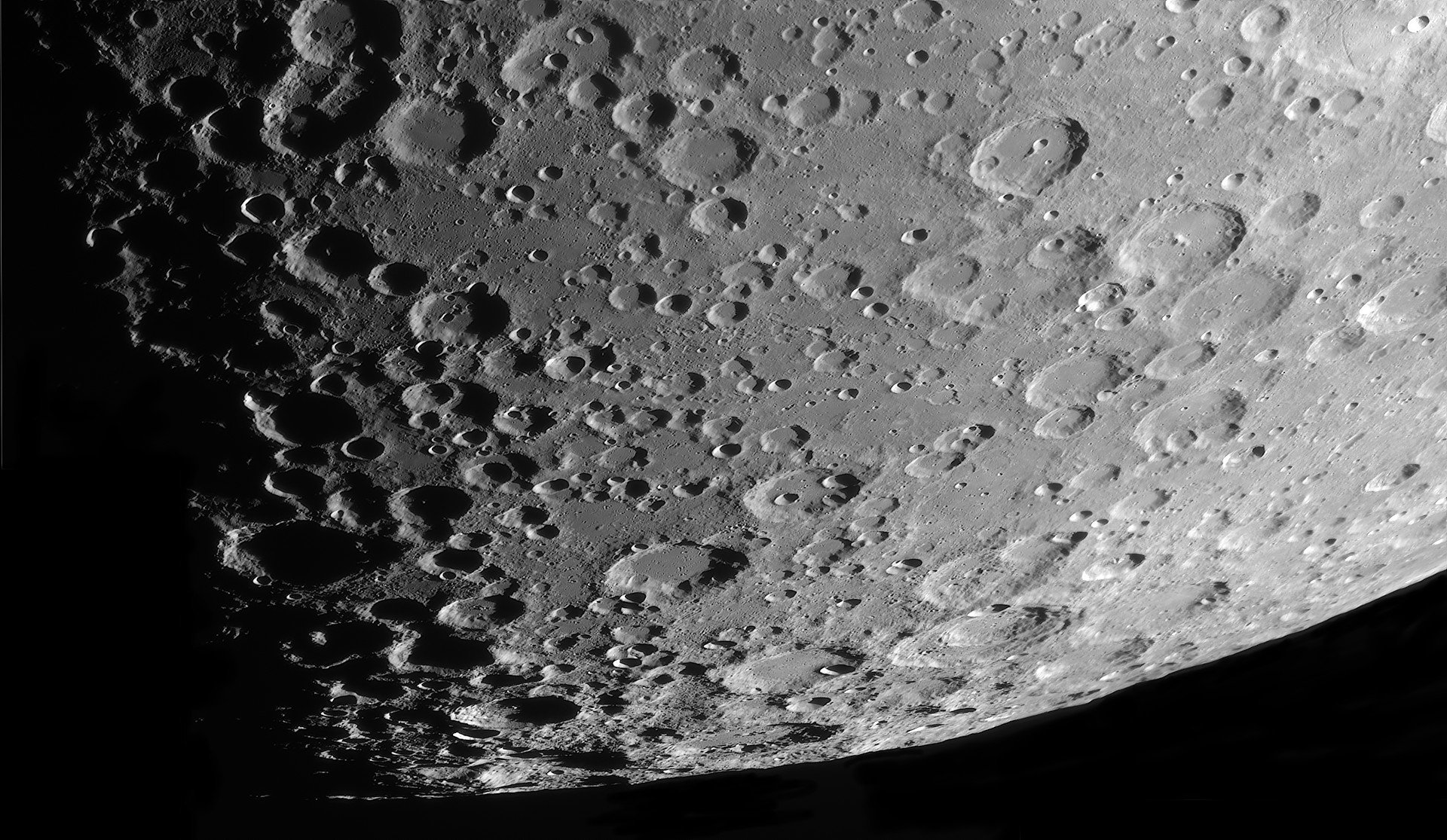 demonax-mosaik_240426_202807_Rc1920.jpg