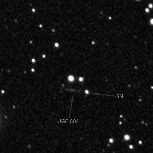detail_sw.jpg