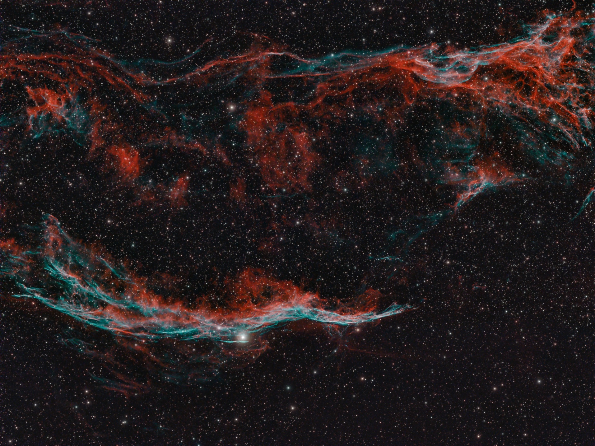 DRACO_Test_easternVeil_31x300.jpeg