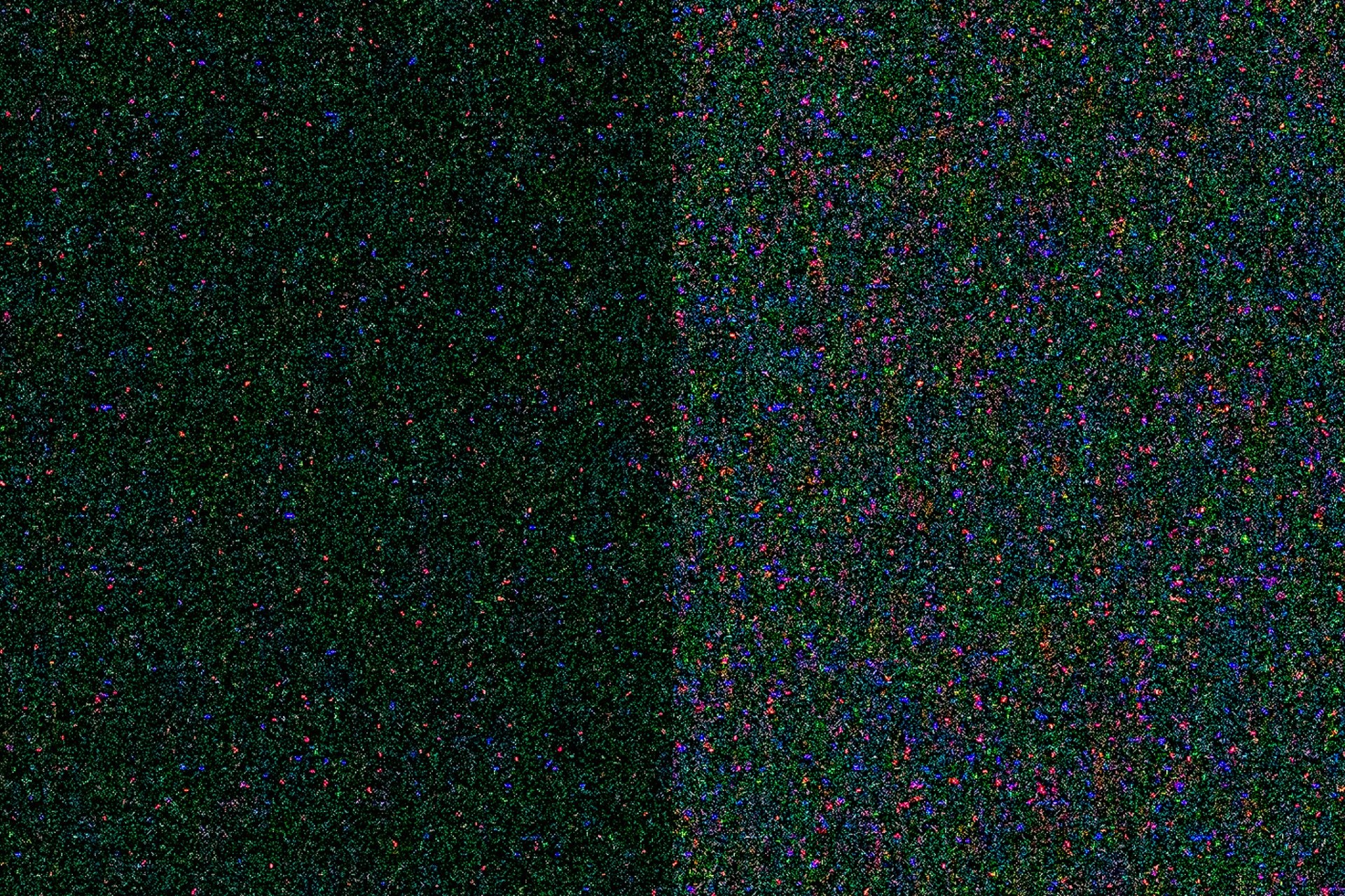 DSC00019-2.jpg