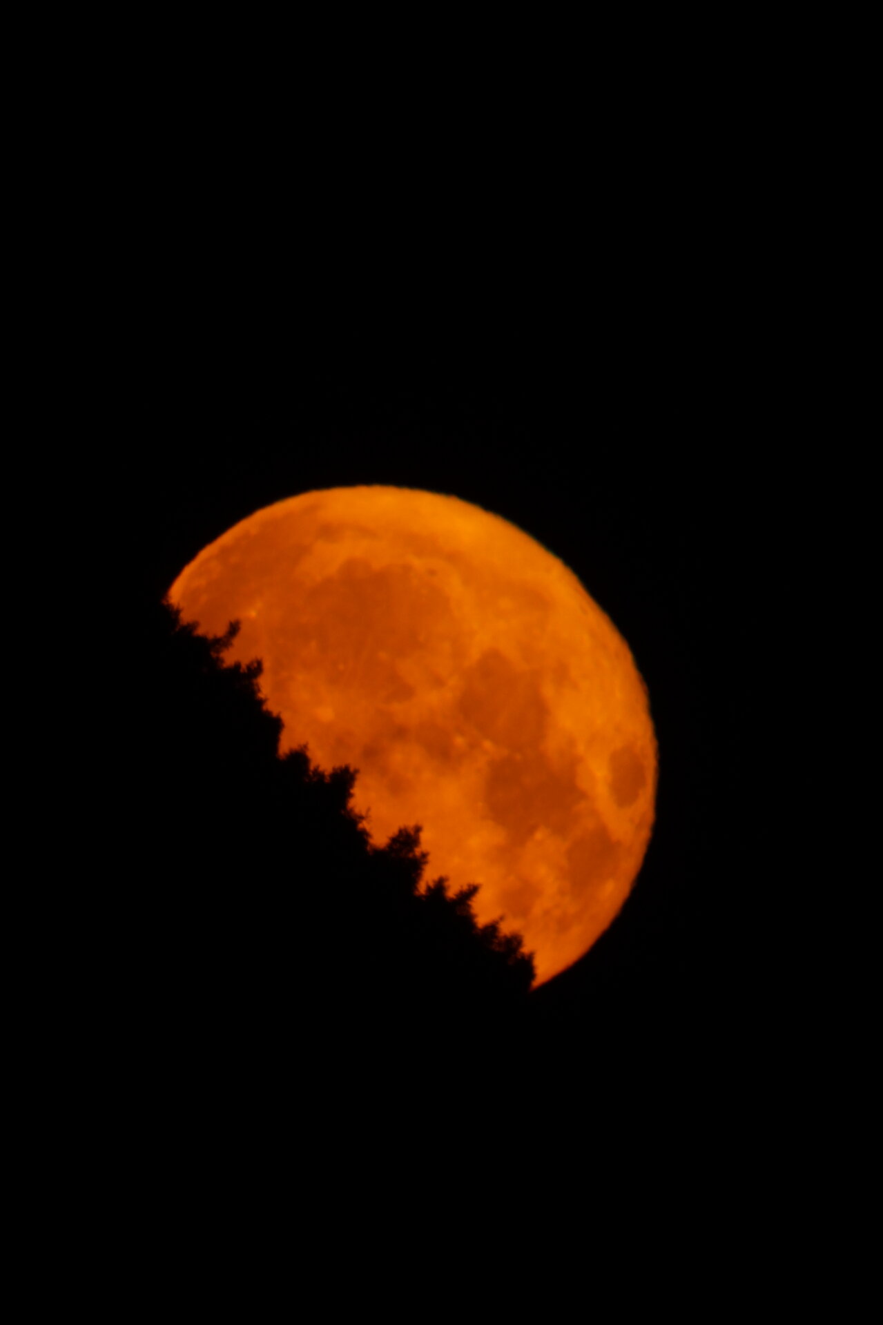 DSC01826.JPG