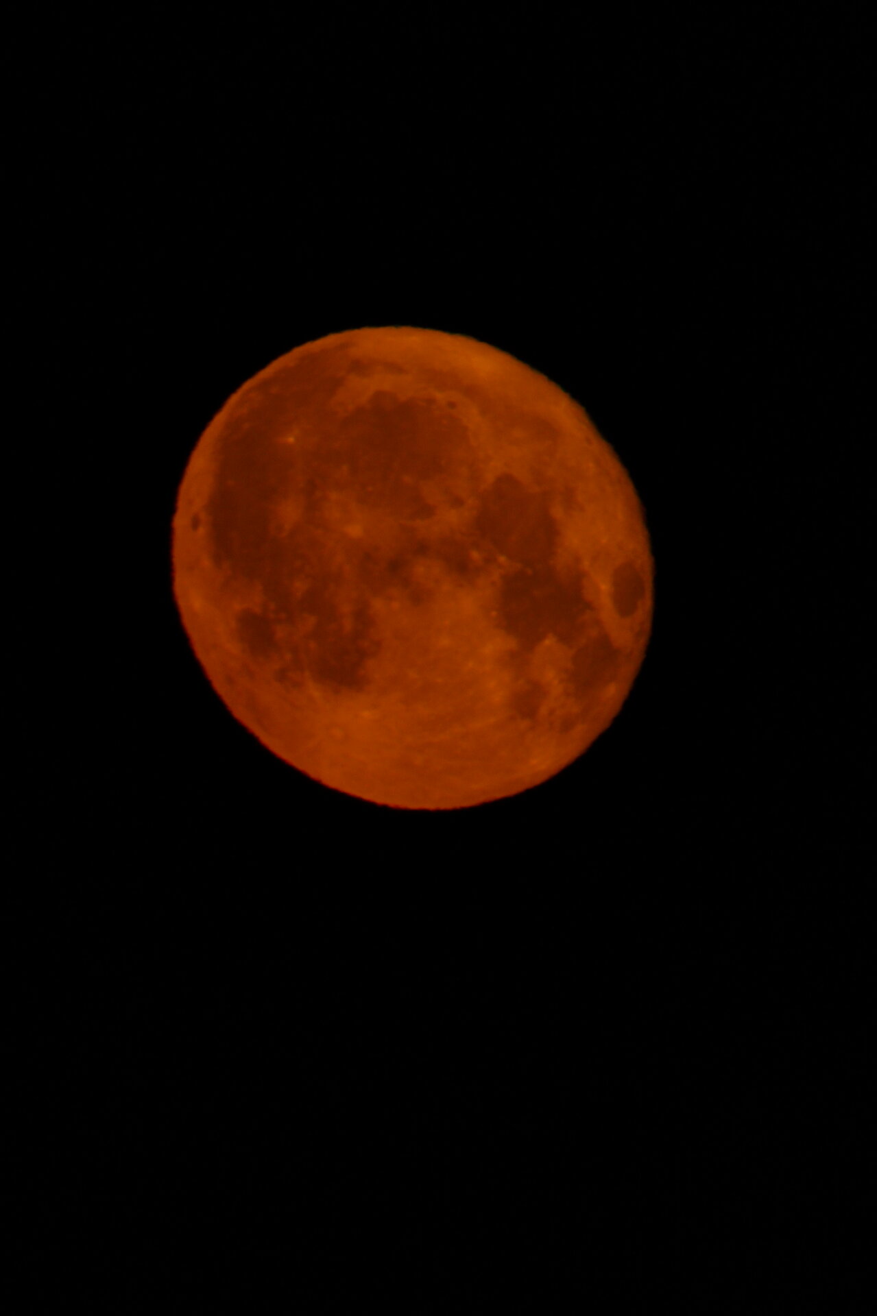 DSC01837.JPG