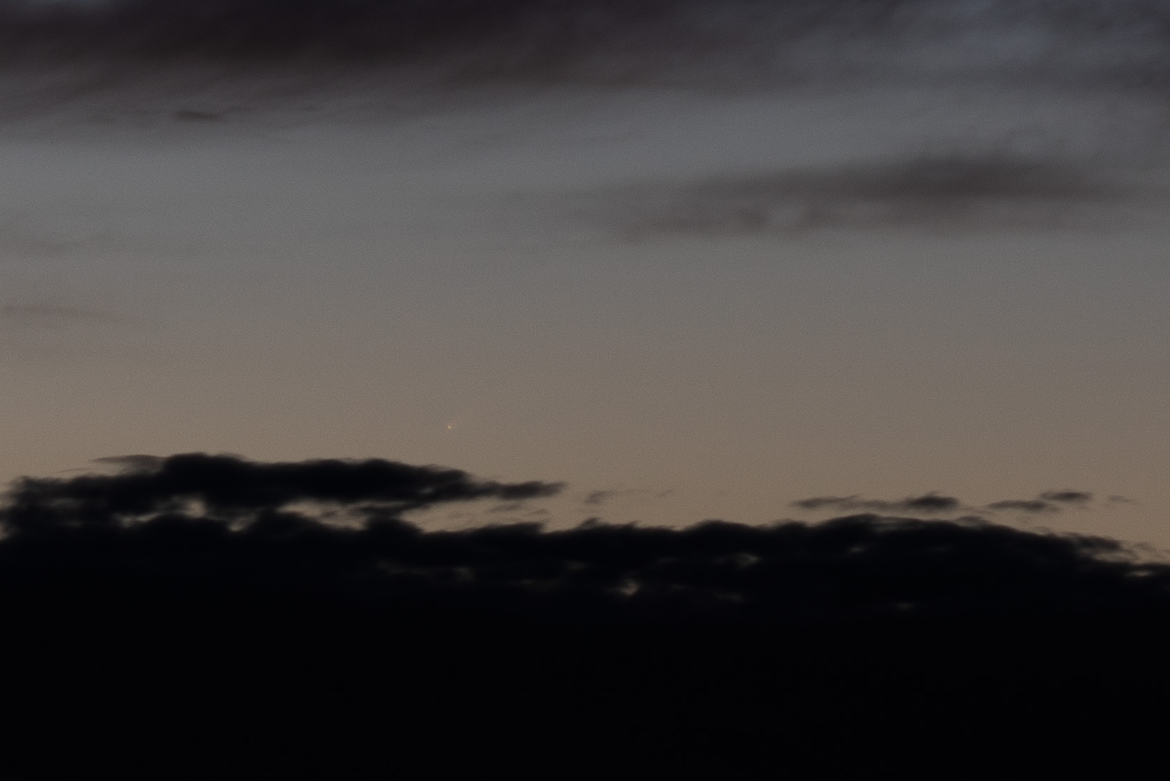 DSC02516_crop.jpg