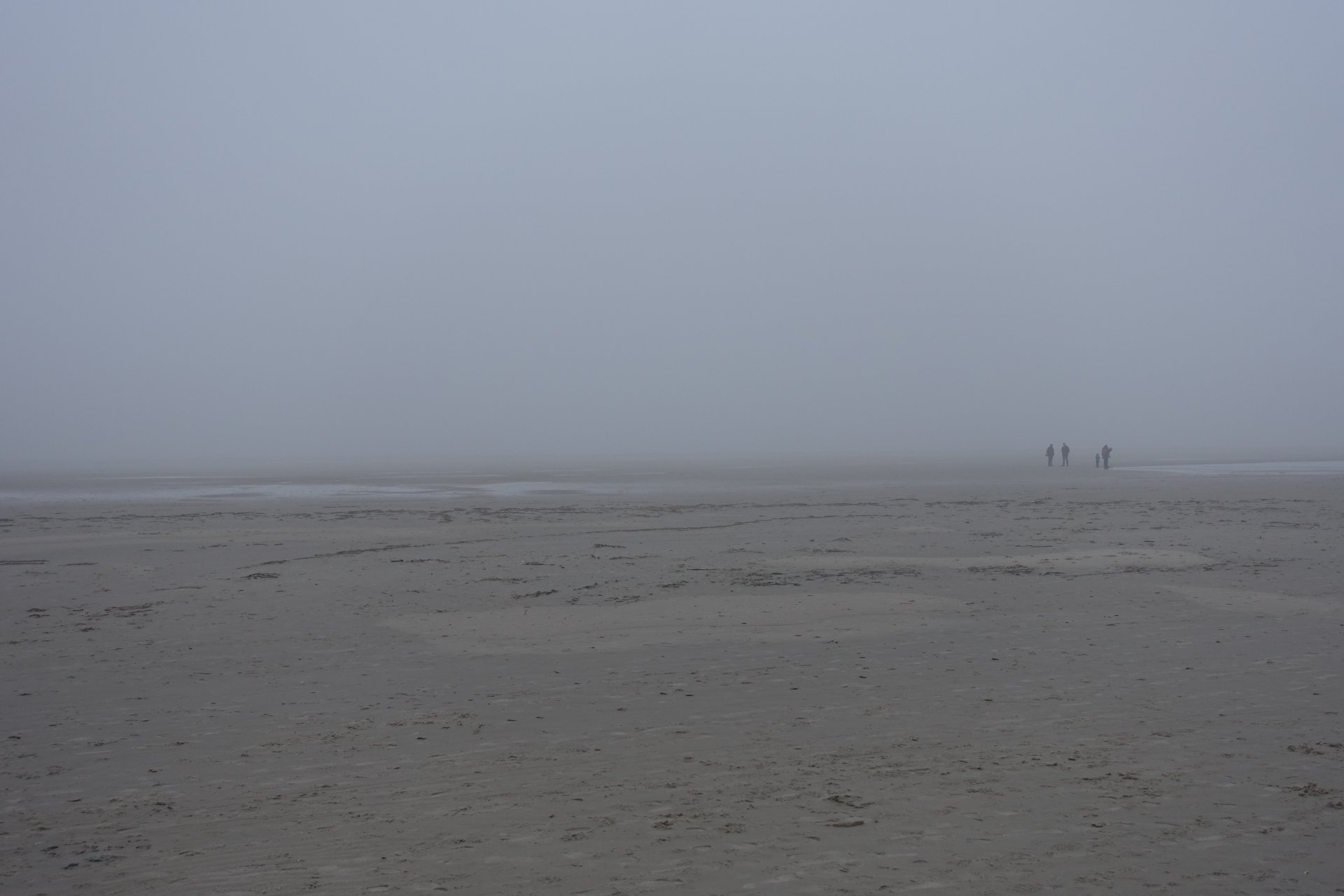 DSC03236.JPG