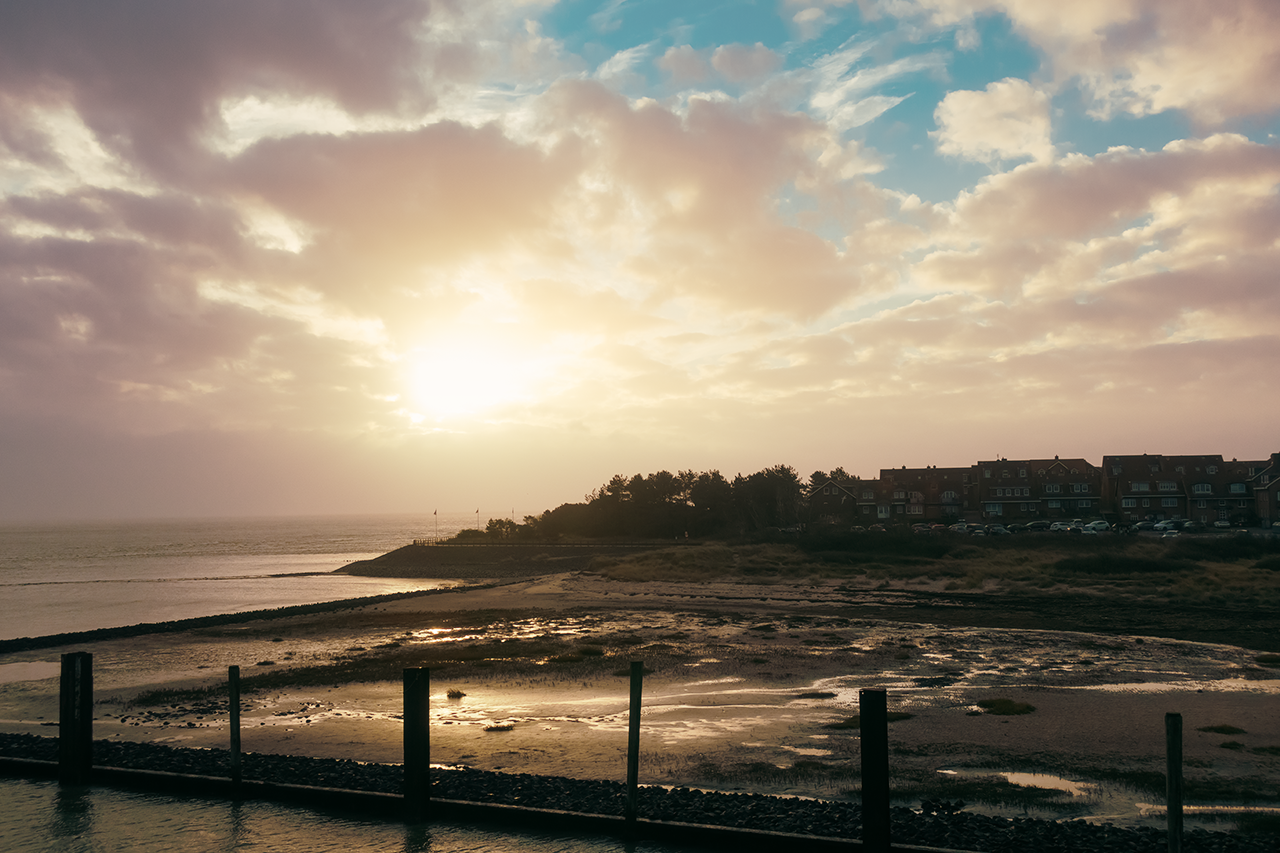 DSC03281-1280-2.png