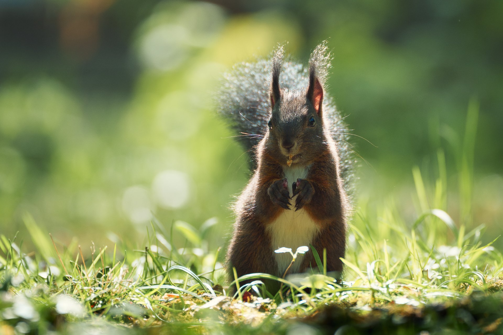 DSC03651.jpg