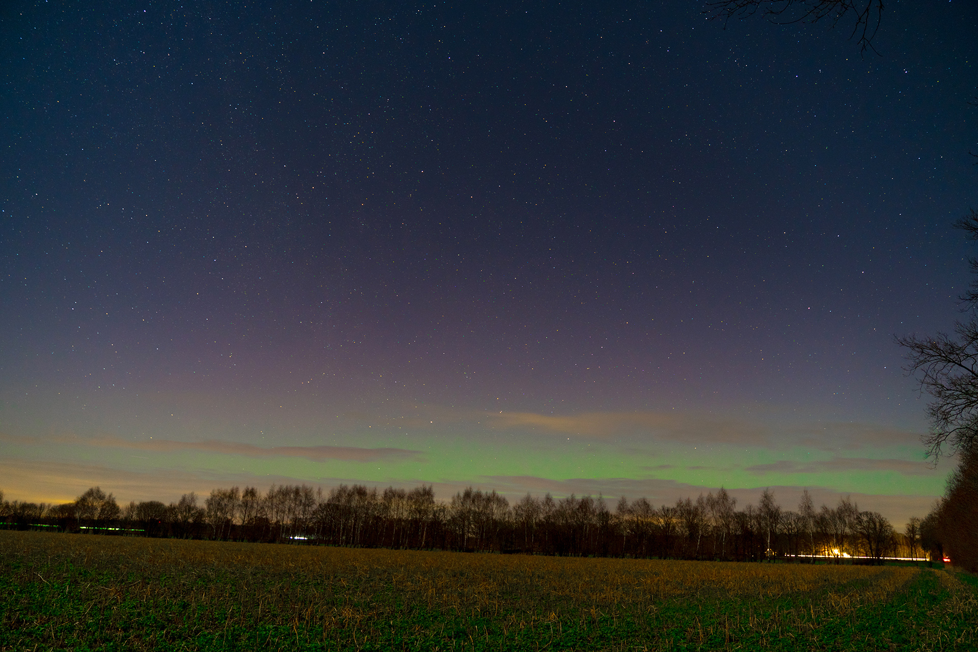 DSC07535_1920.jpg