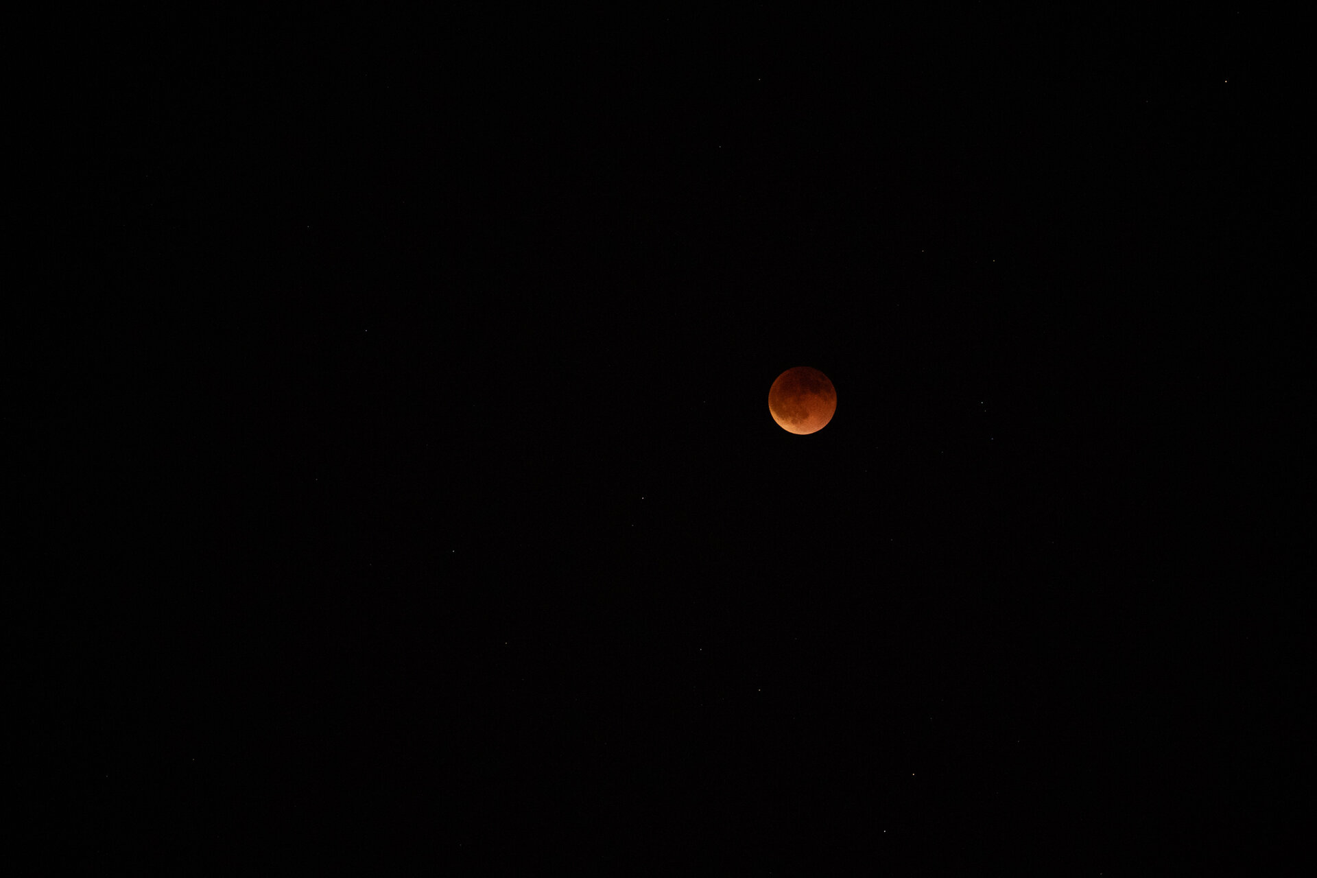 DSC07742.jpg