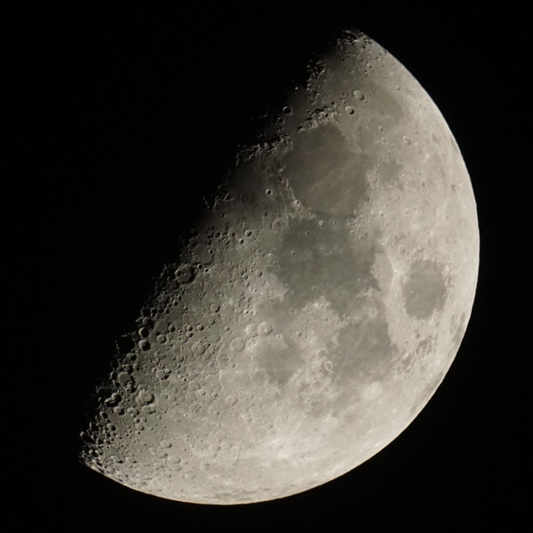 DSC08000c600.jpg