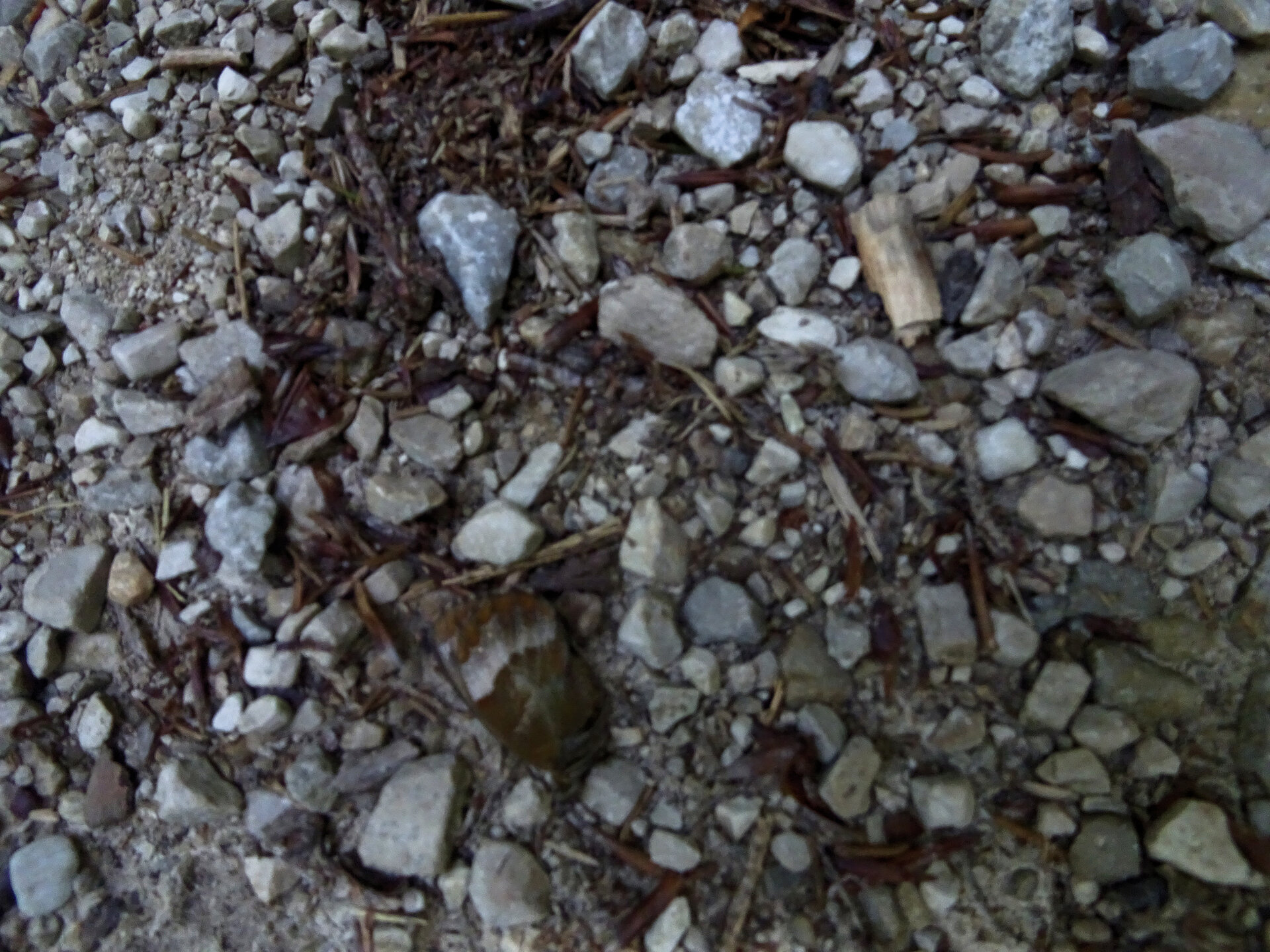 DSC08635_1.JPG