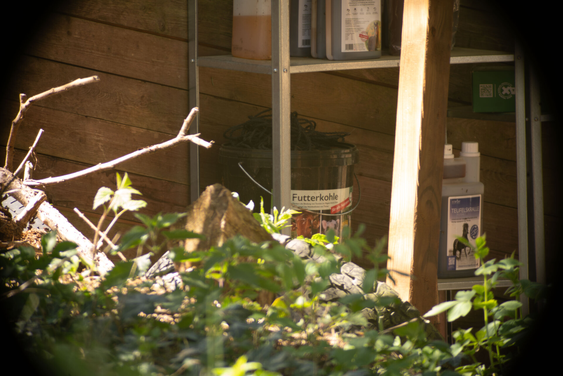 DSC09068.jpg