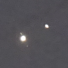 DSC09280crop.jpg