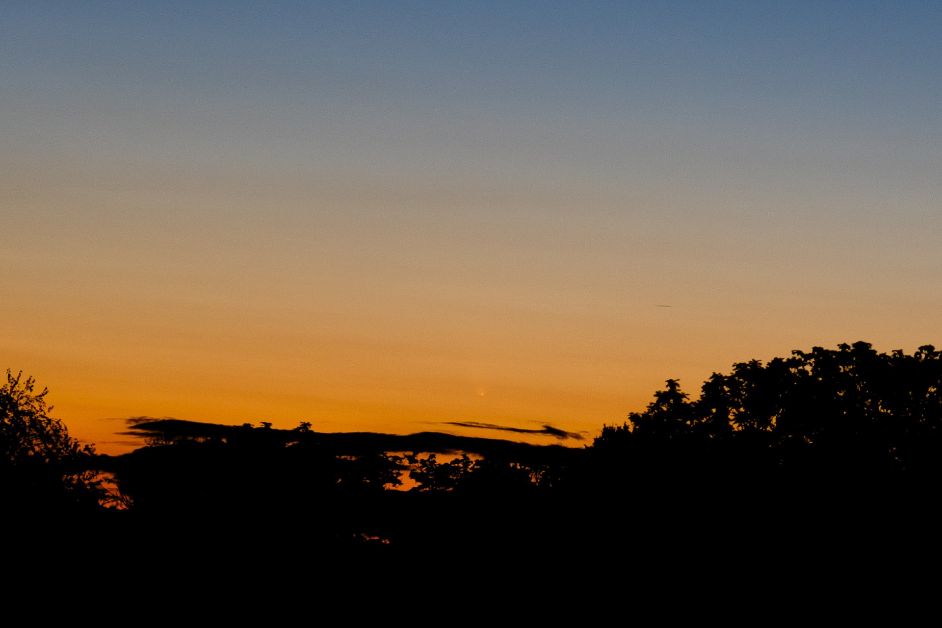 DSC09531.jpg