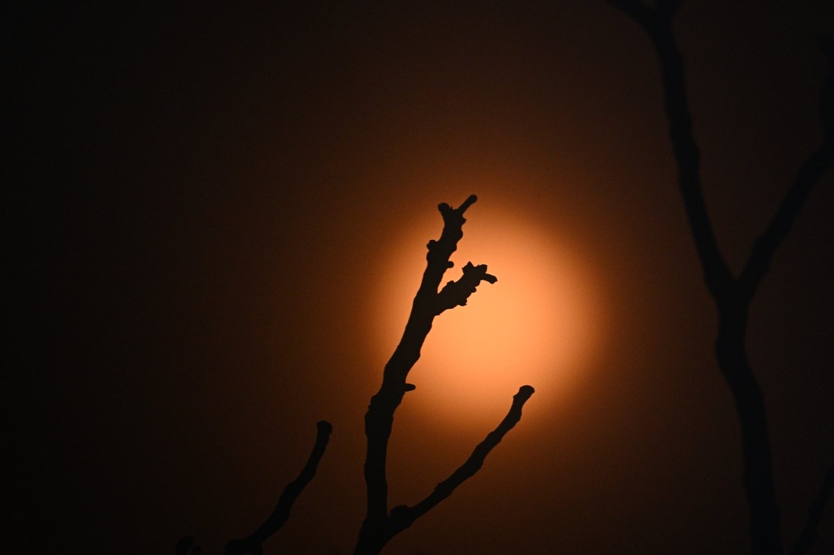 DSC_1017_004.JPG