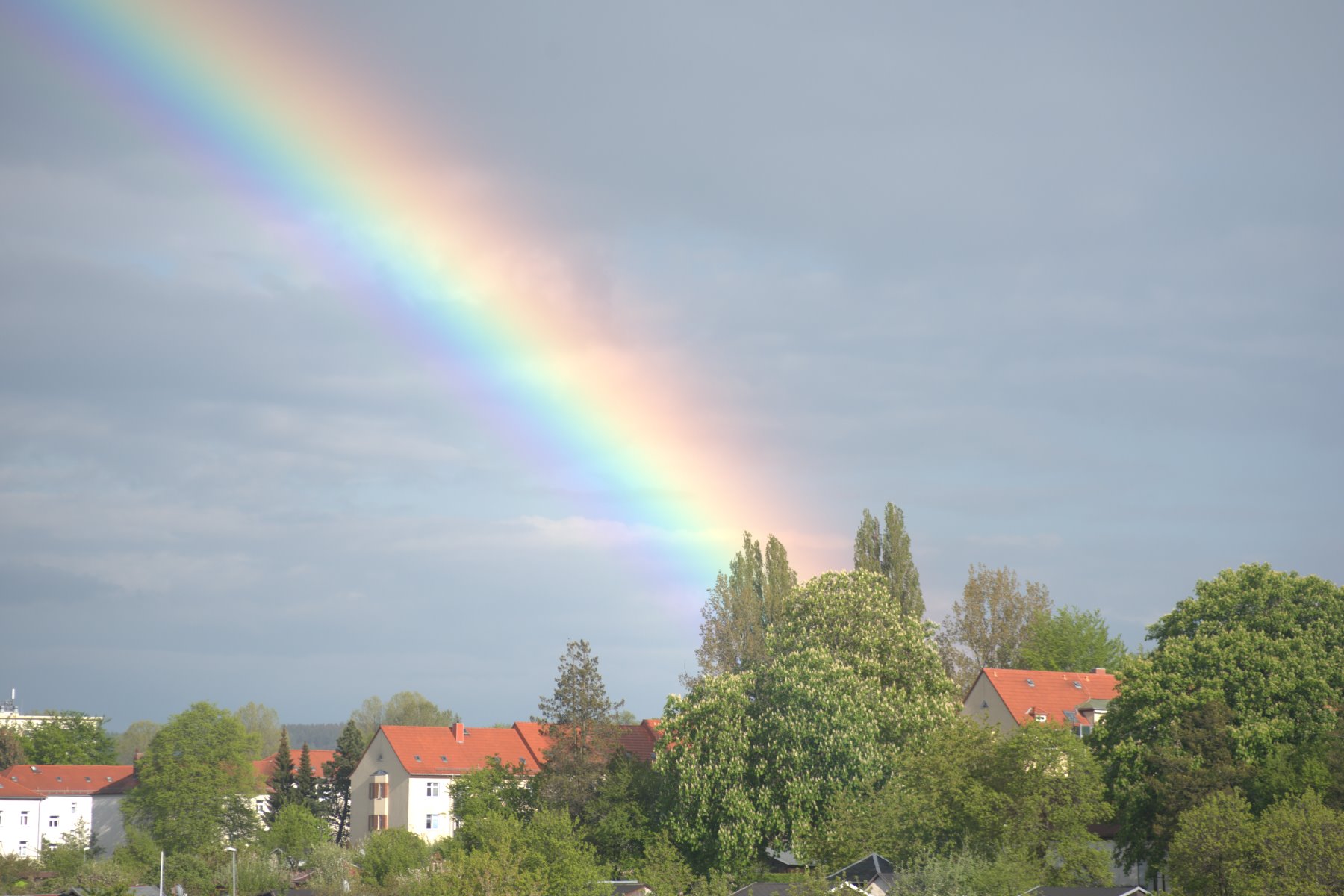 DSC_1589.jpg