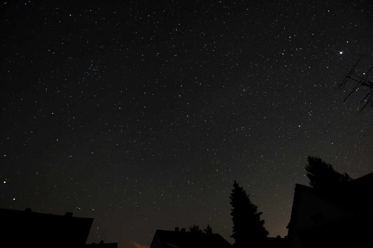 DSC_5184.JPG