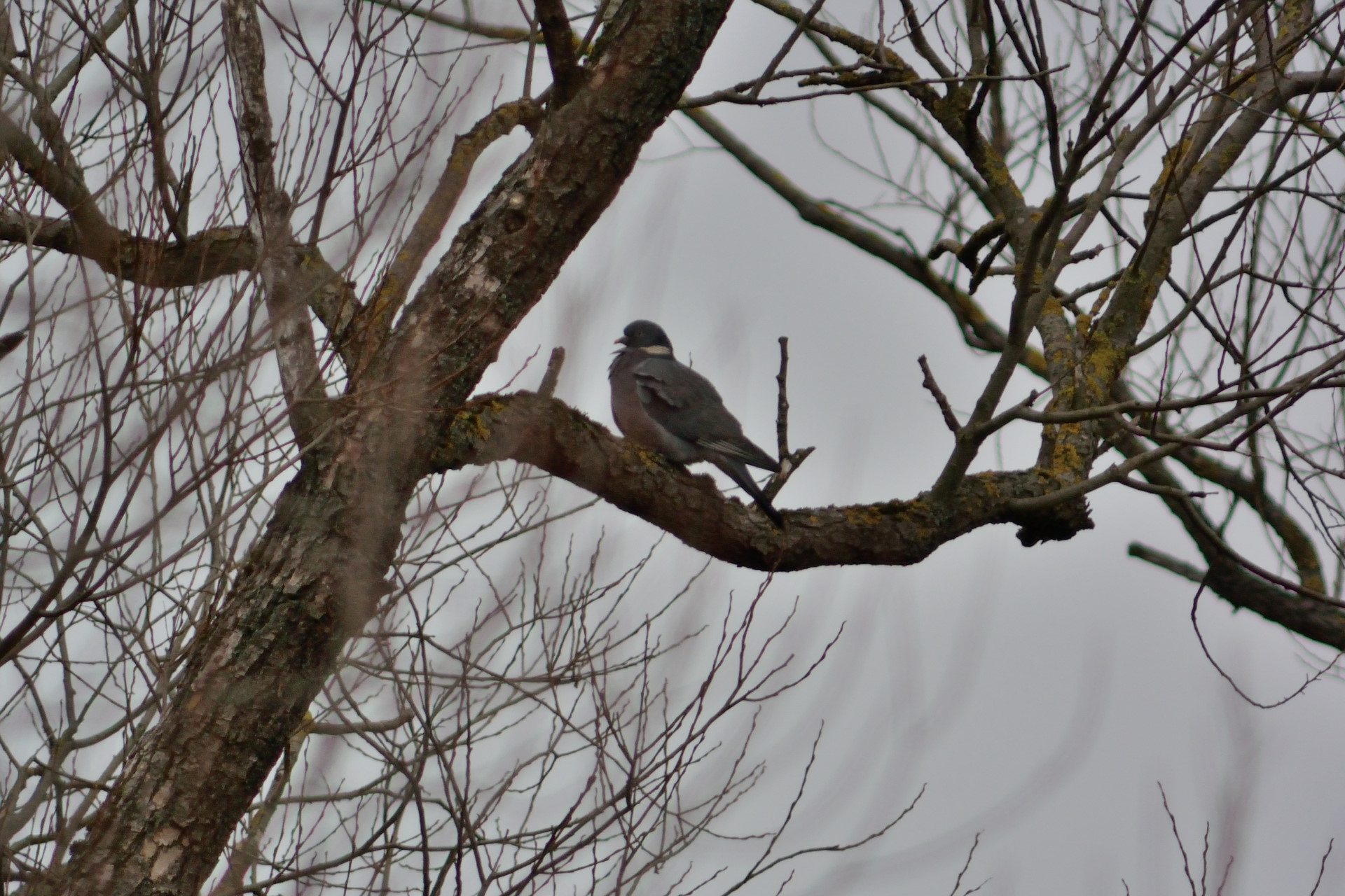 DSC_7211_01.JPG