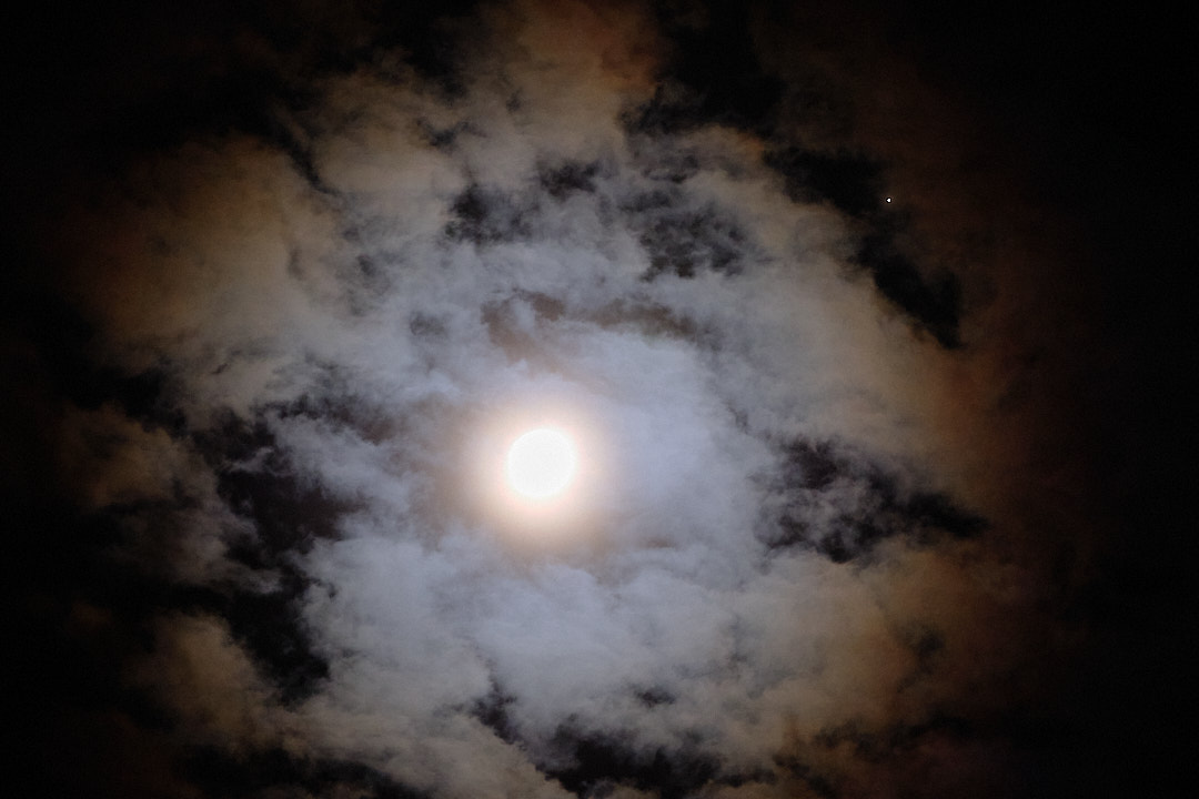 DSCF0778 1.jpg