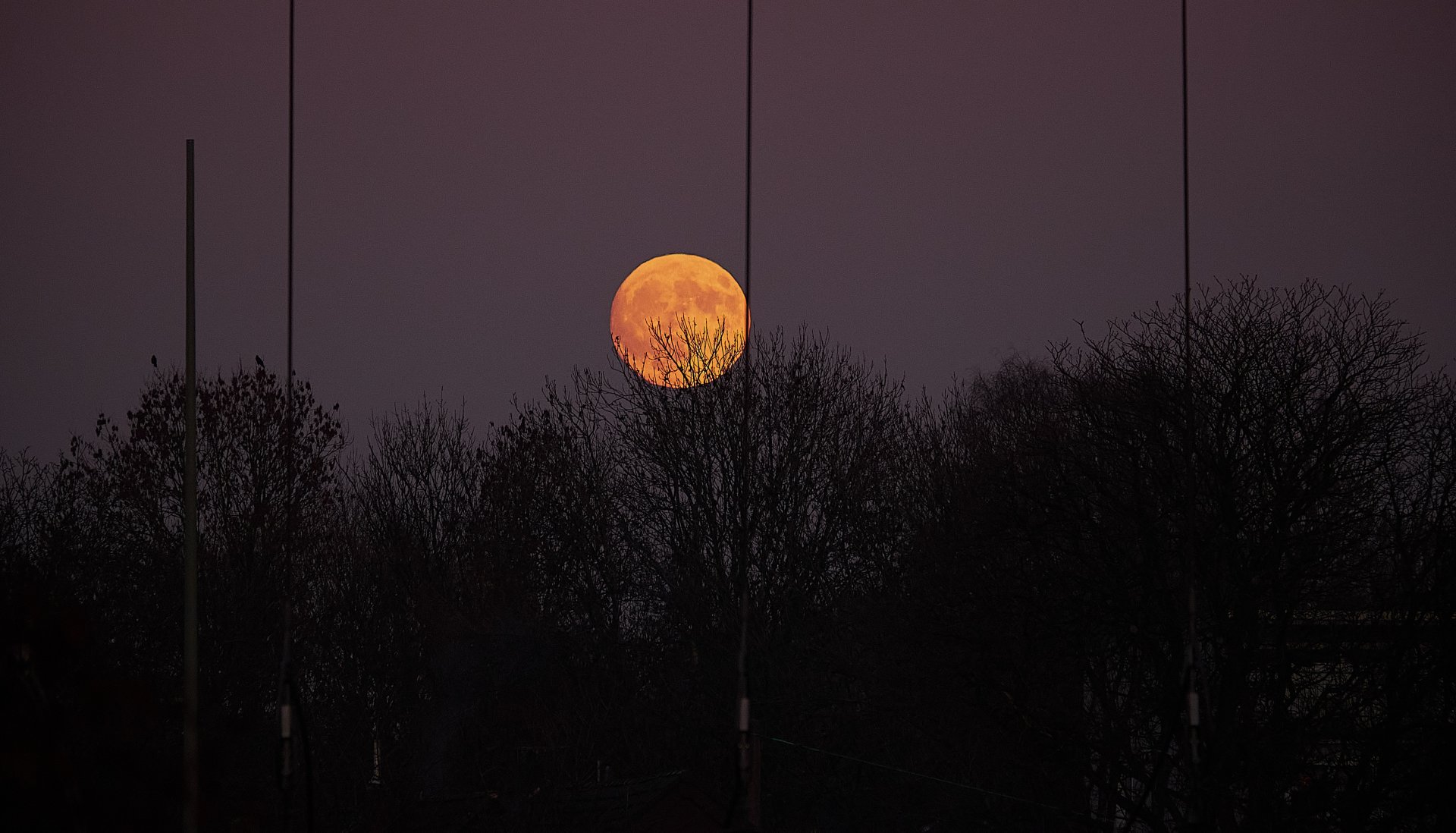 DSCF6788 Mond Mast Bäume 230mm.jpg