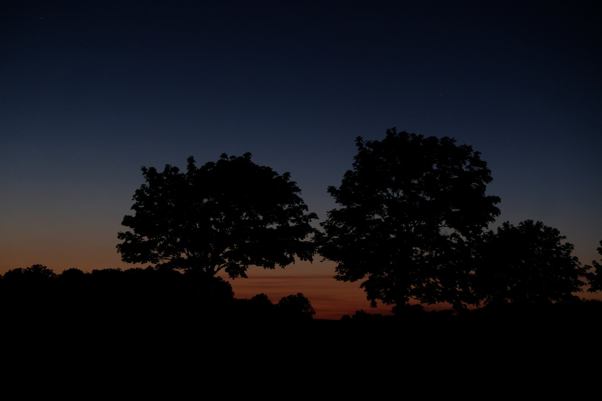 DSCF9025_kl.JPG